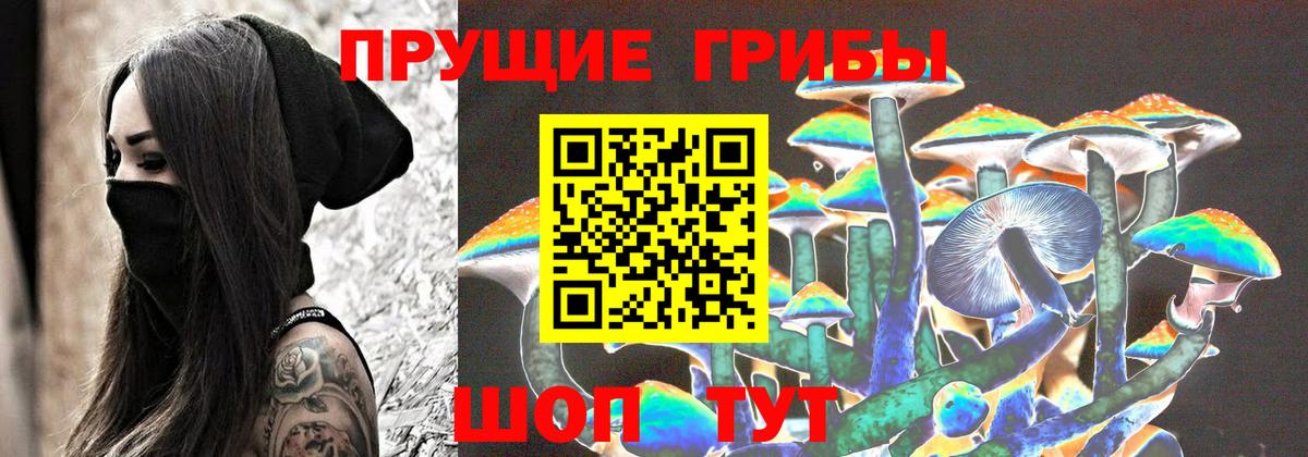 Псилоцибиновые грибы Psilocybine cubensis Мытищи